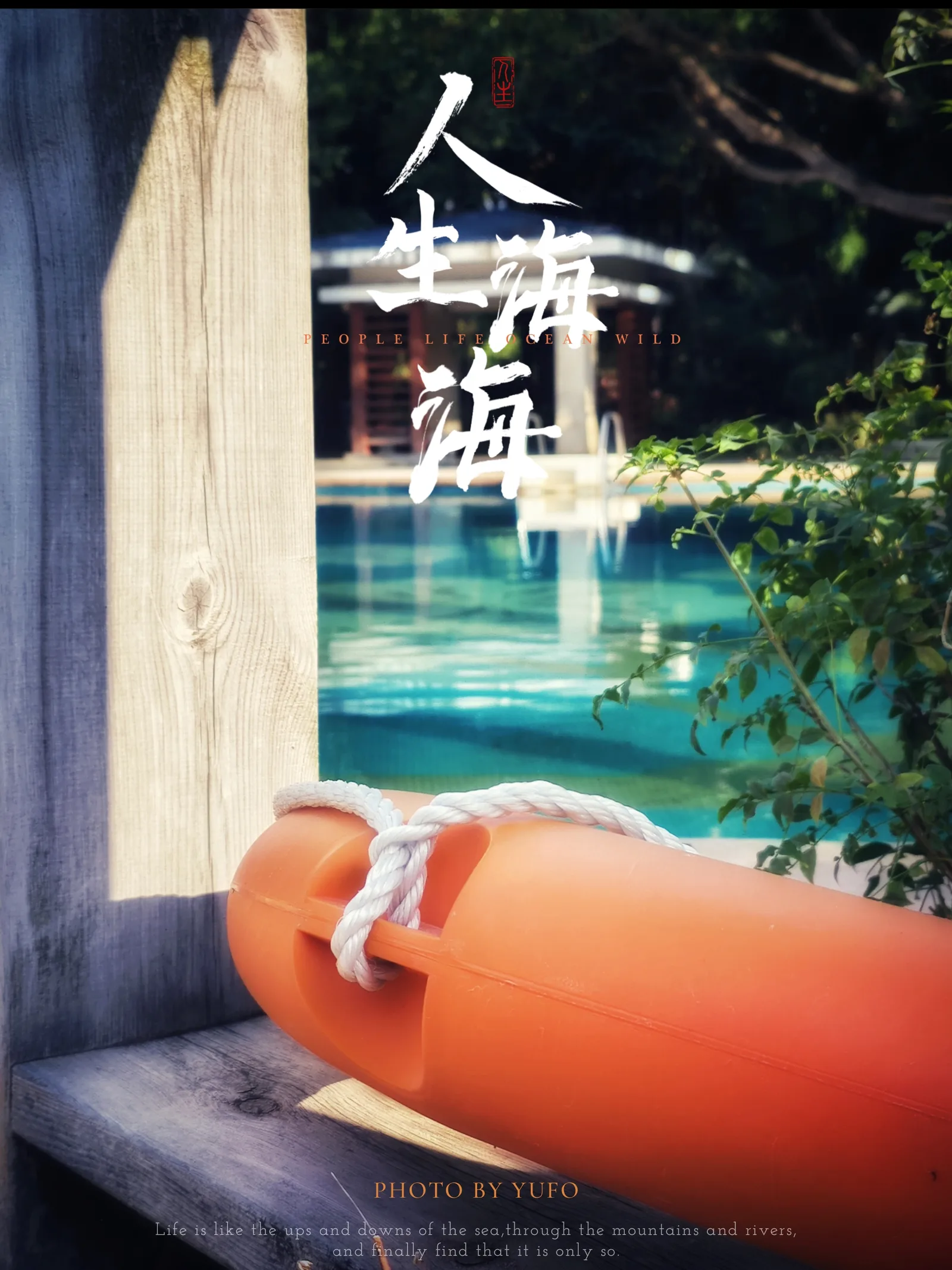【2024-12-19】厦门之旅-手机摄影 图 8