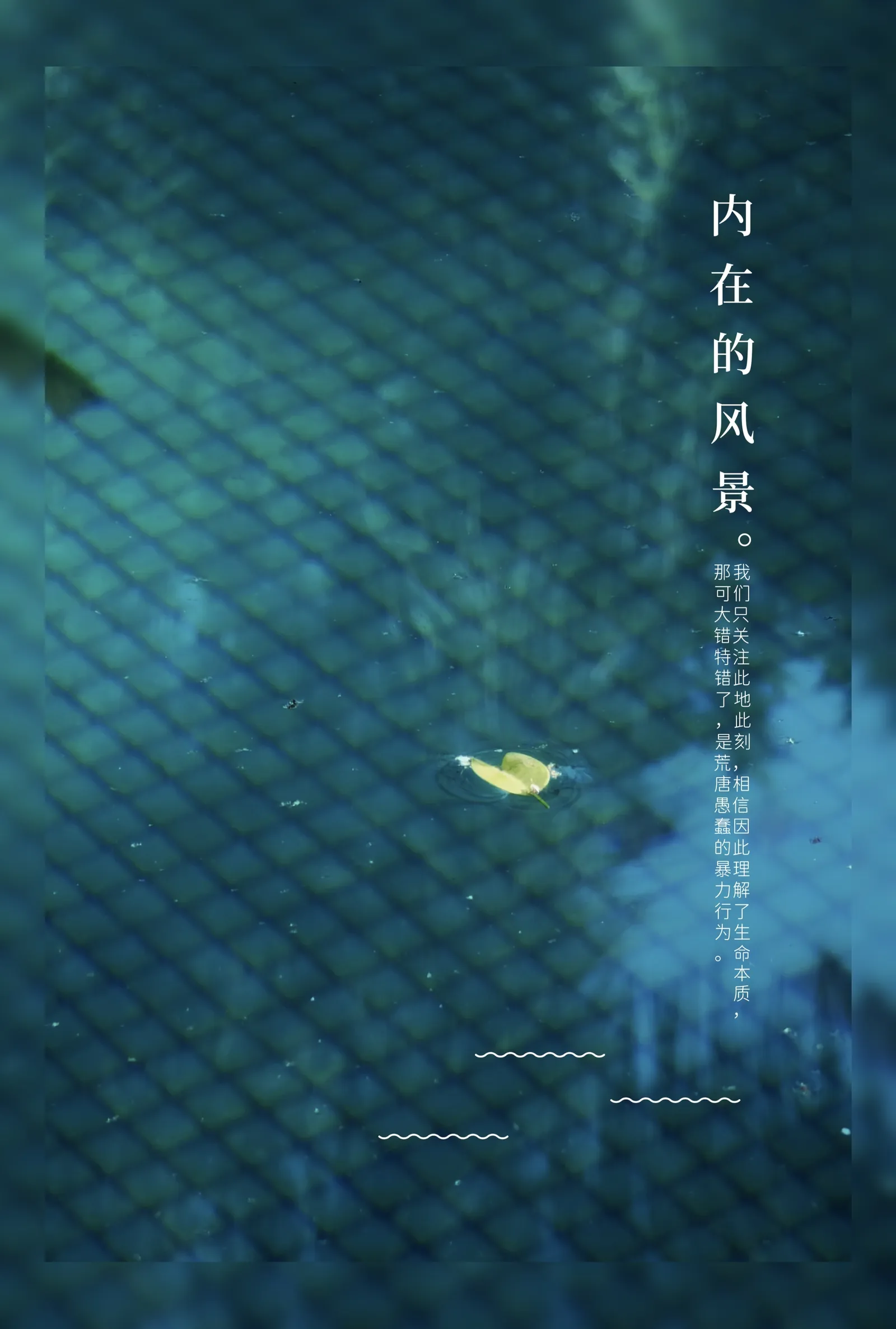 【2024-12-19】厦门之旅-手机摄影 图 35