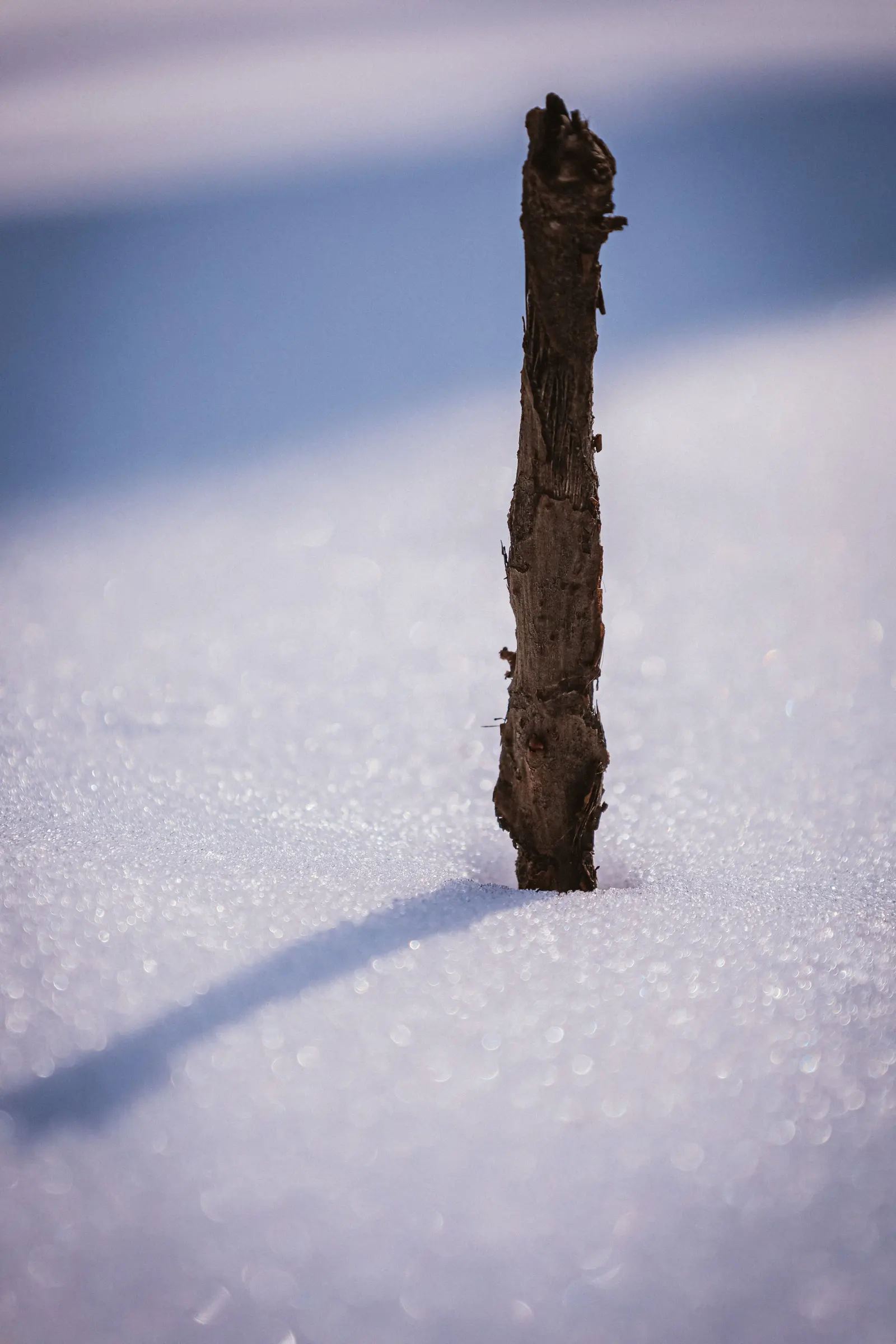 【2022-02-20】雪景练手 图 6