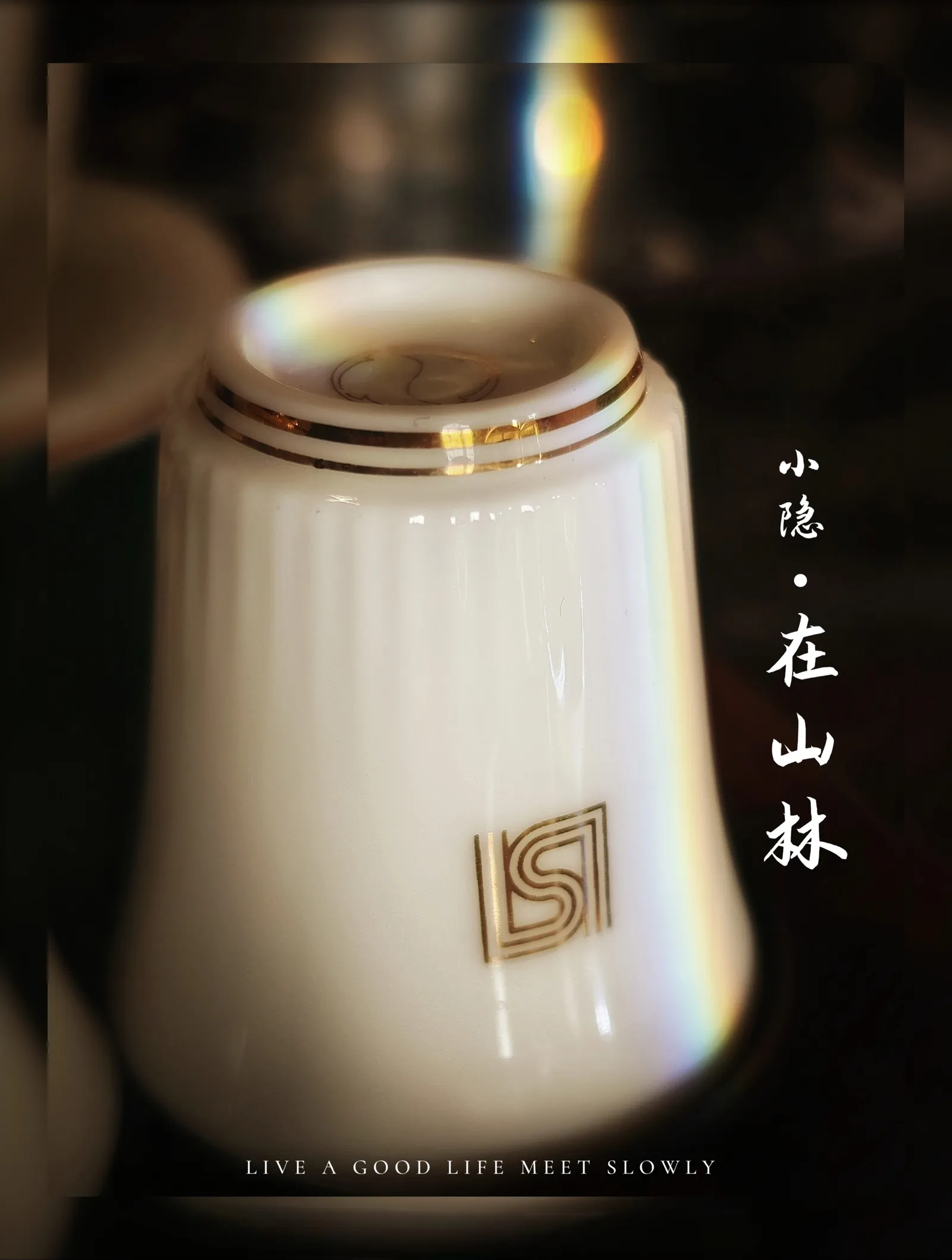 【2024-12-19】厦门之旅-手机摄影 图 40