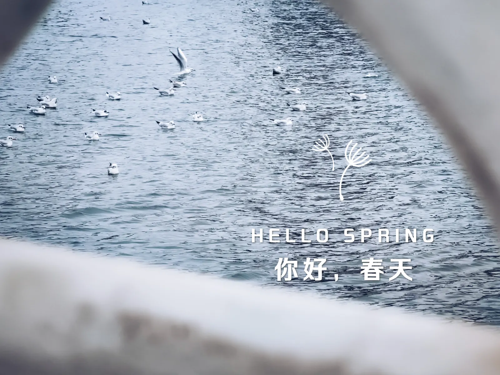 【2021-3-8】春景随拍Part1 图 3