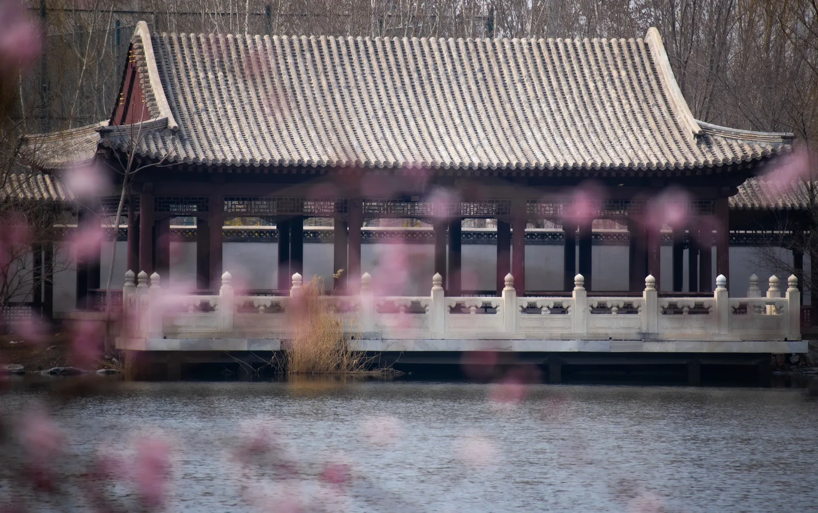 【2021-3-25】M200春景随拍Part1 图 7
