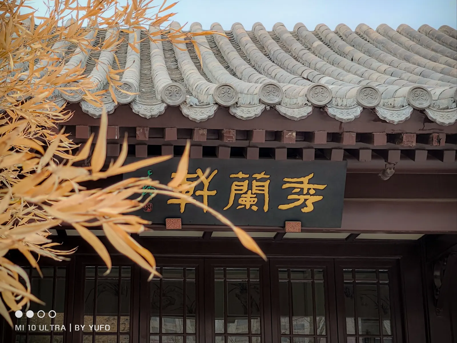 【2021-3-8】春景随拍Part2 图 7