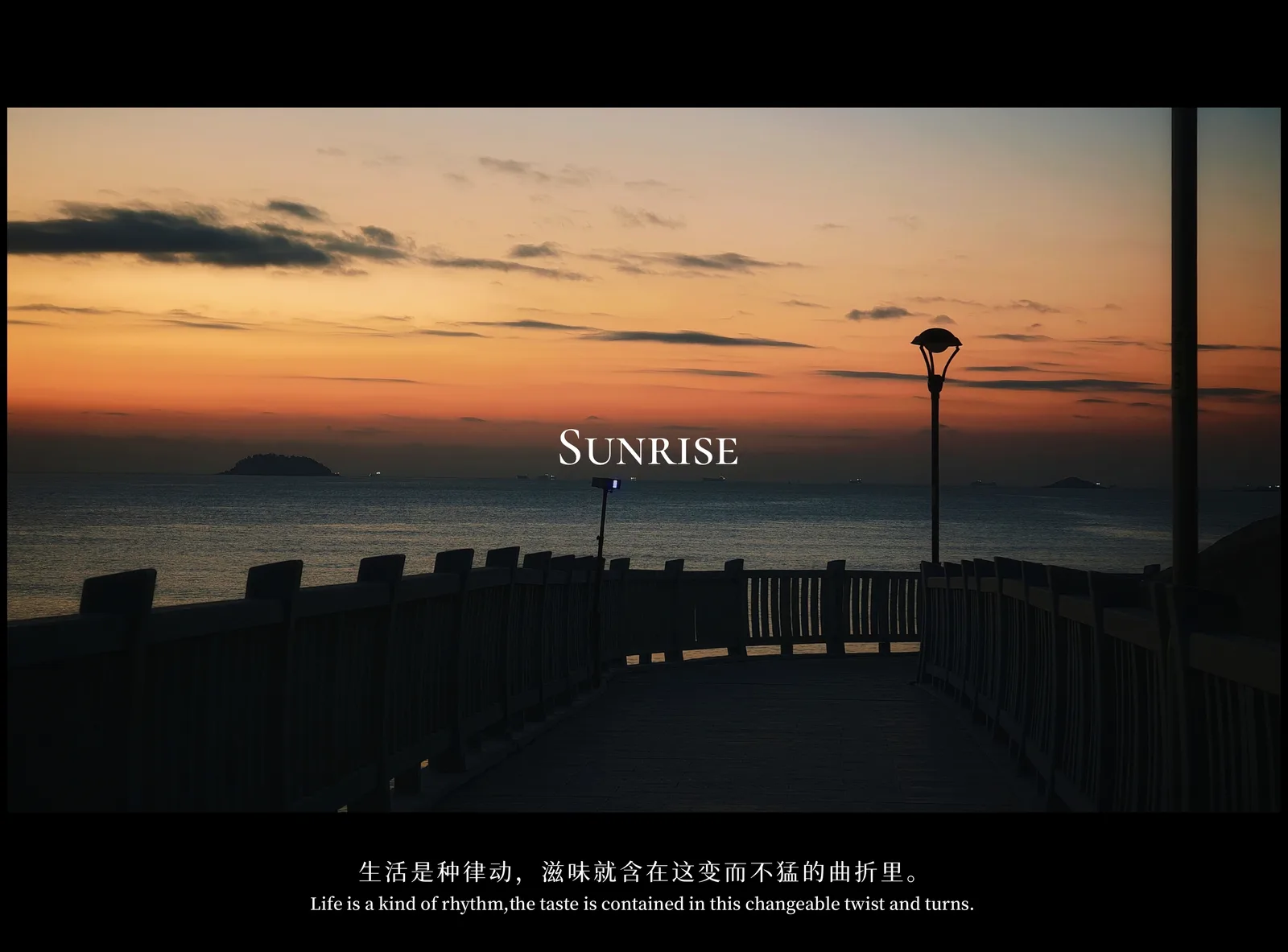 【2024-12-19】厦门之旅-手机摄影 图 4