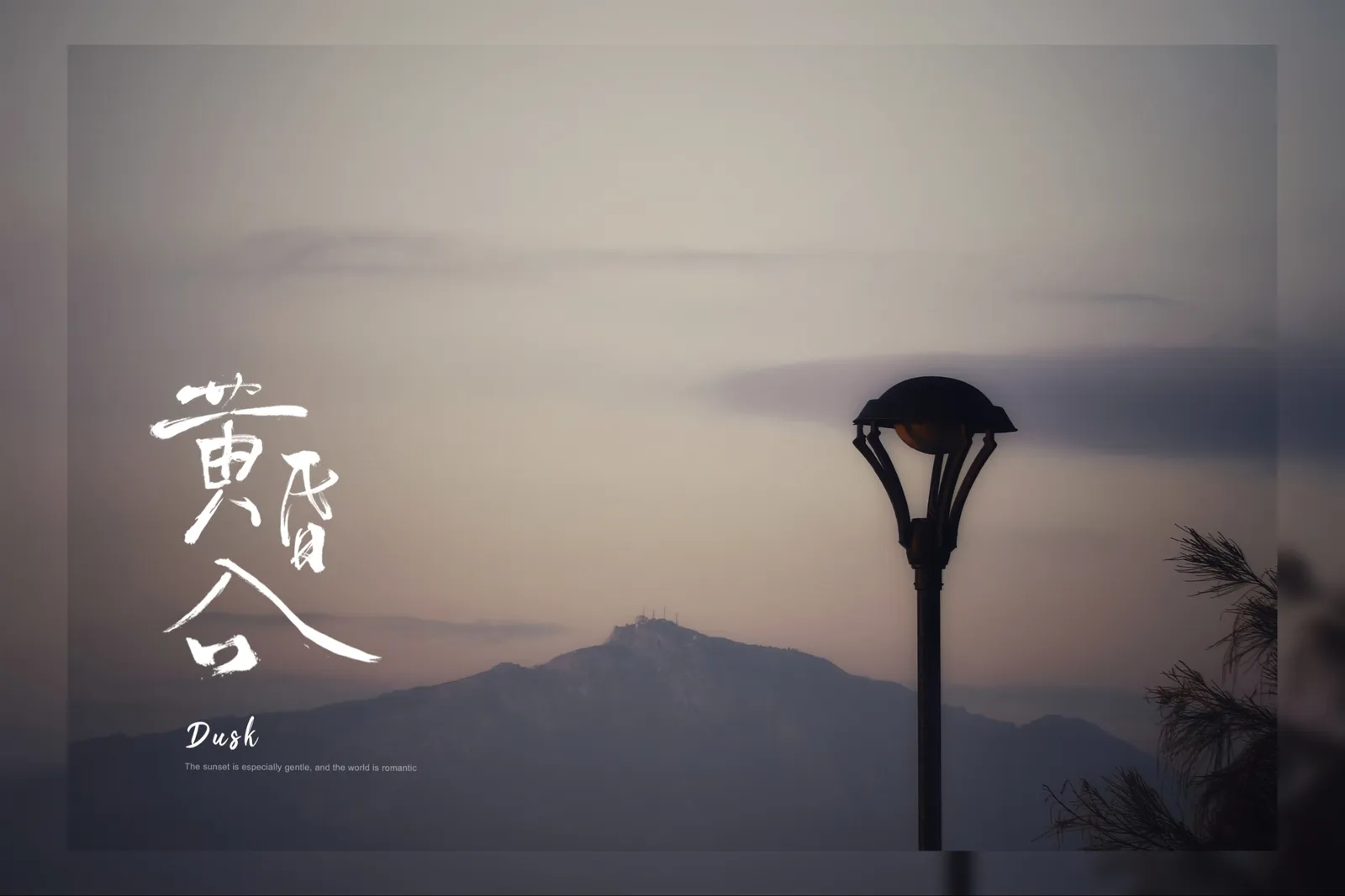 【2024-12-19】厦门之旅-手机摄影 图 39