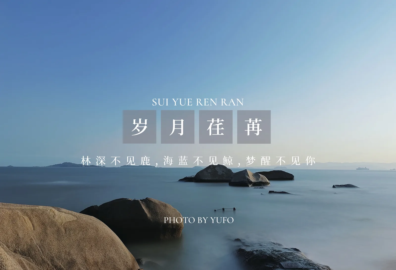 【2024-12-19】厦门之旅-手机摄影 图 10